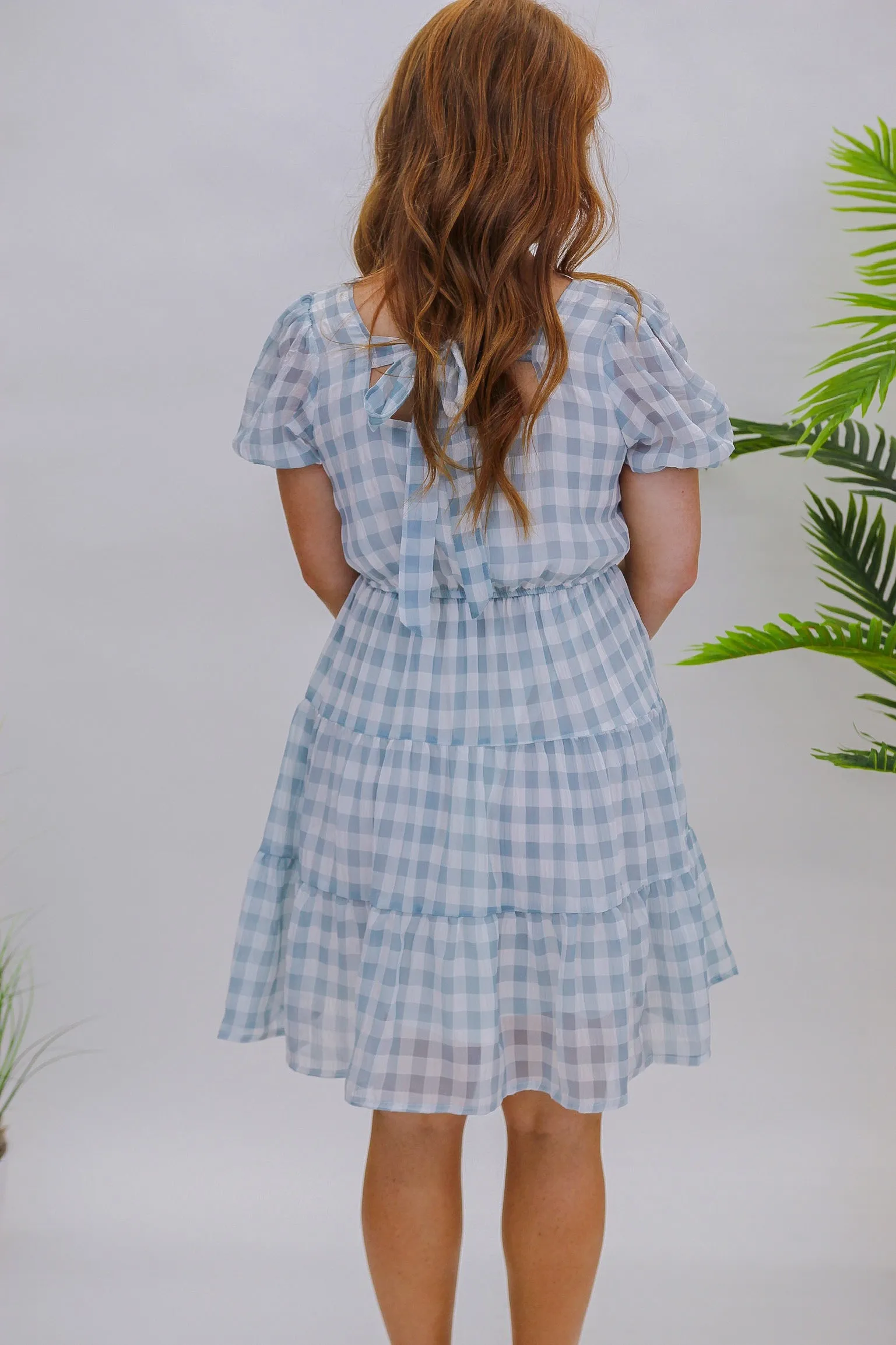Day Fun Gingham Dress- Blue