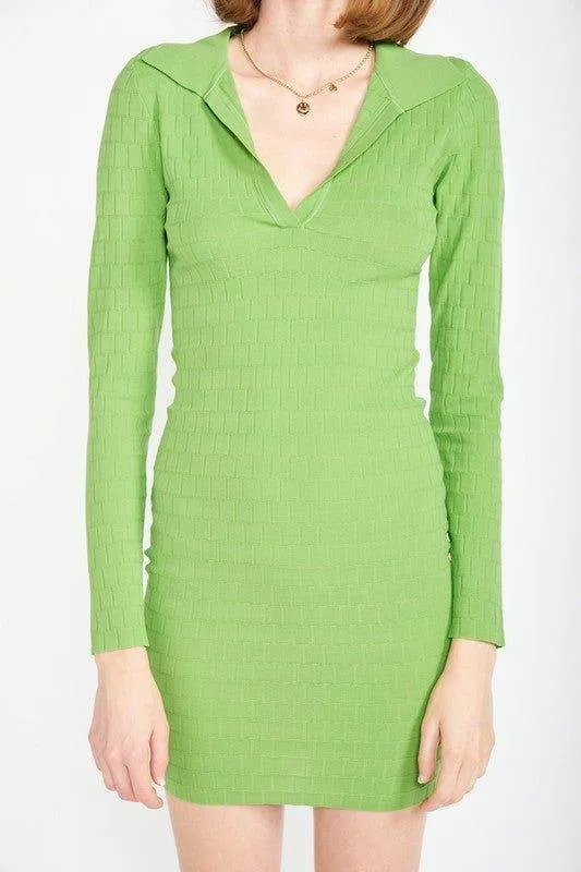 Emory Park | Bodycon Collared Min Dress