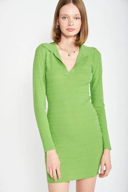Emory Park | Bodycon Collared Min Dress