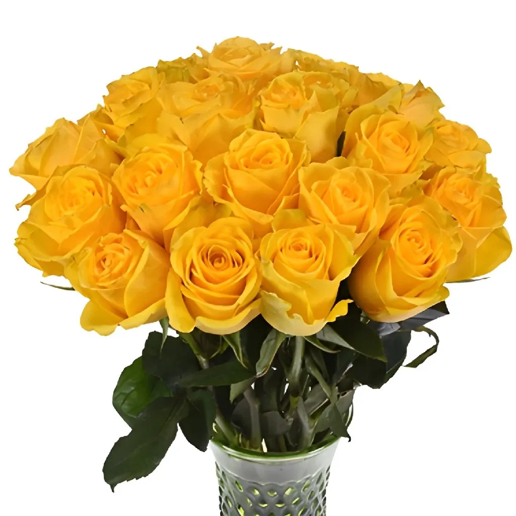 Impact Yellow Rose